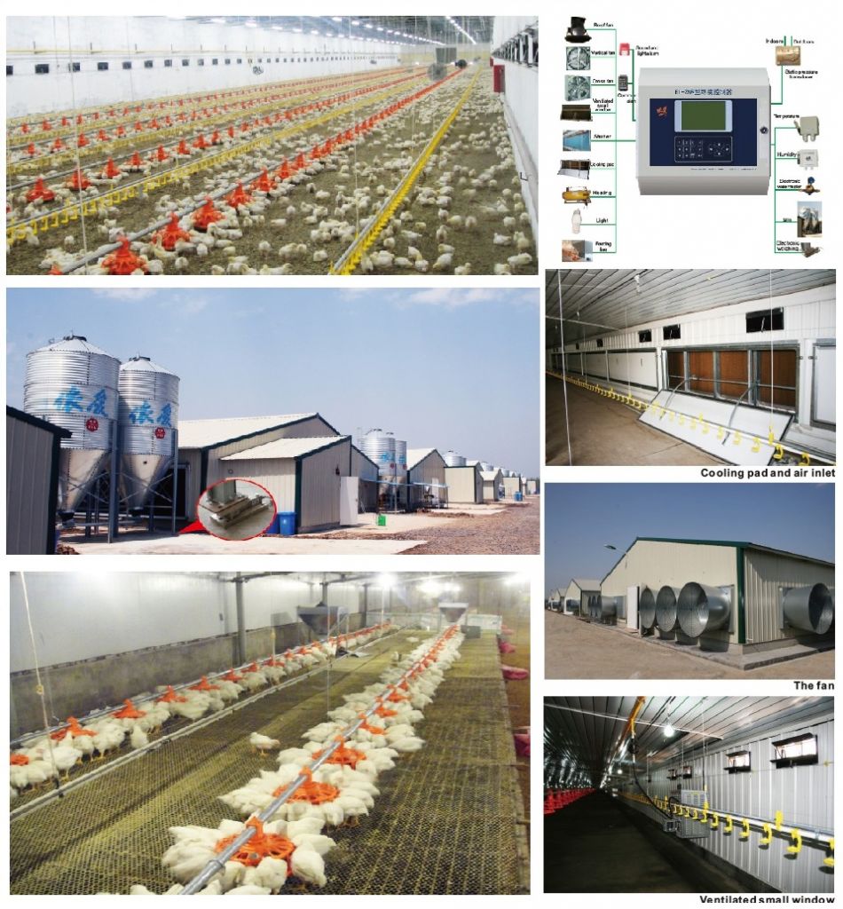 Poultry farming Equipment