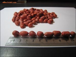 Red Skin  Peanuts of Jilin of northeast of China