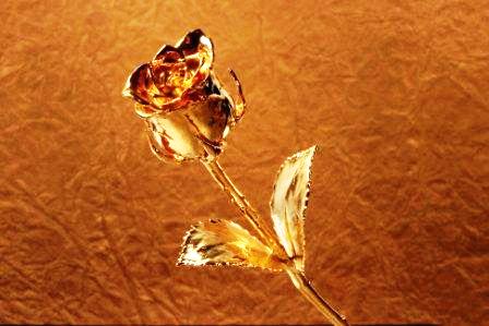 Gold Plated Rose