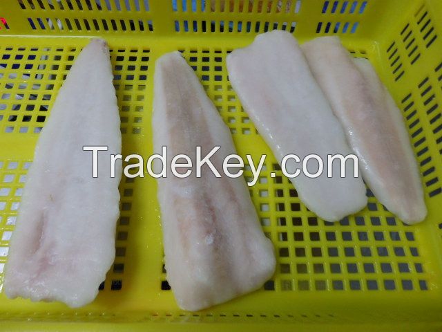 frozen hake fillet