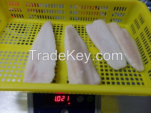 frozen hake fillet