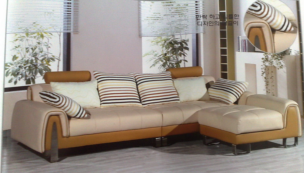 leisure leather sofa