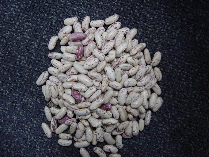 light speckled kidney beans