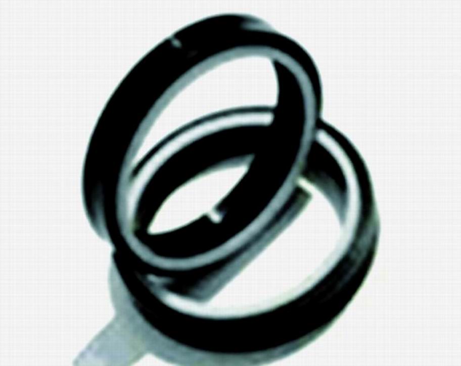 Wiper Scraper Seal, Support Ring and Wearing Ring