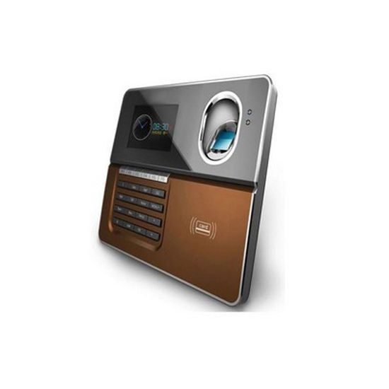 Fingerprint access control system FT20