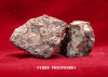 (FEP) Ferro Phosphorus