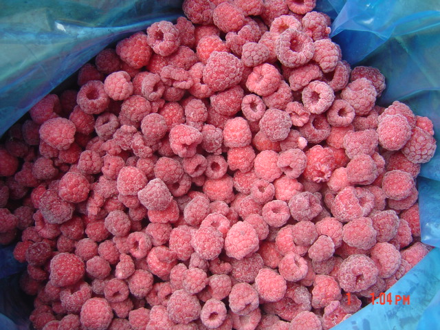 IQF raspberry