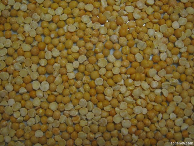 Yellow split peas