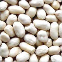 round blanched peanut