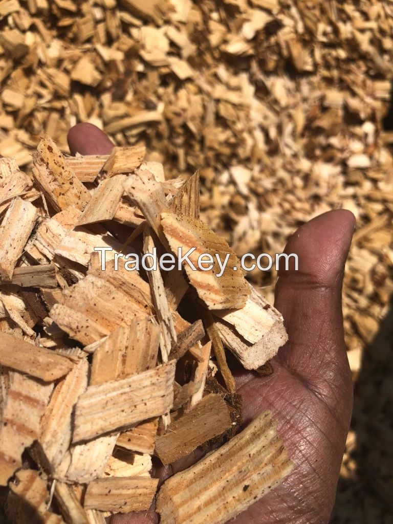 Wood chips from Brasil