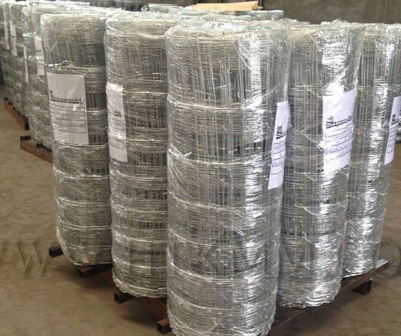 3/4 inches Galvanized welded wire mesh