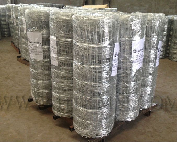 Galvanized Welded Wire Mesh