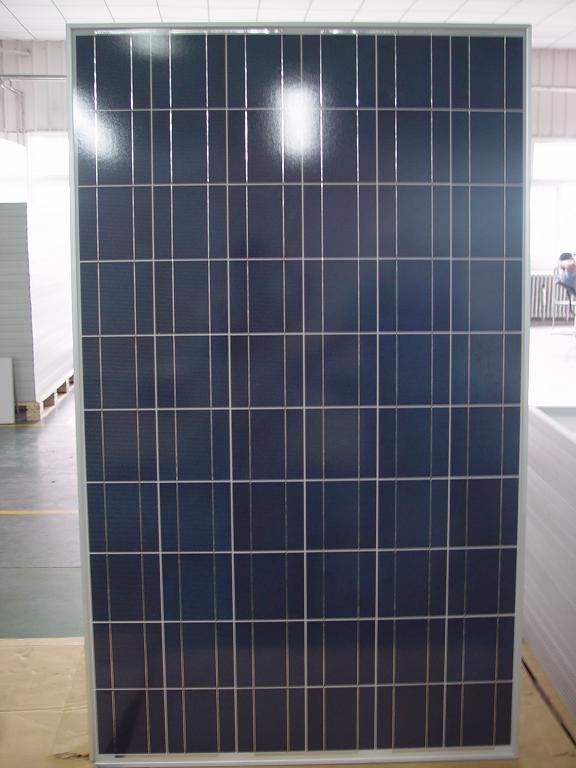 poly solar module 230W