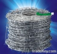 Barbed Wire/Razor Wire