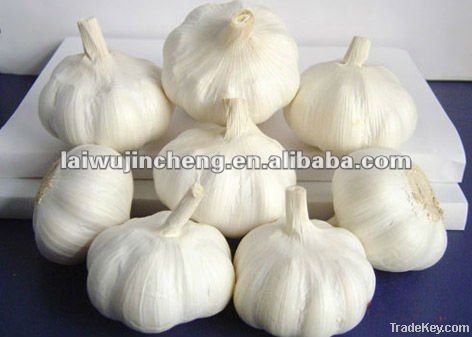 Laiwu fresh garlic