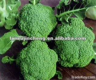 fresh broccoli on sale