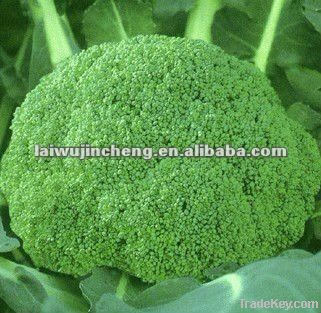 fresh broccoli on sale