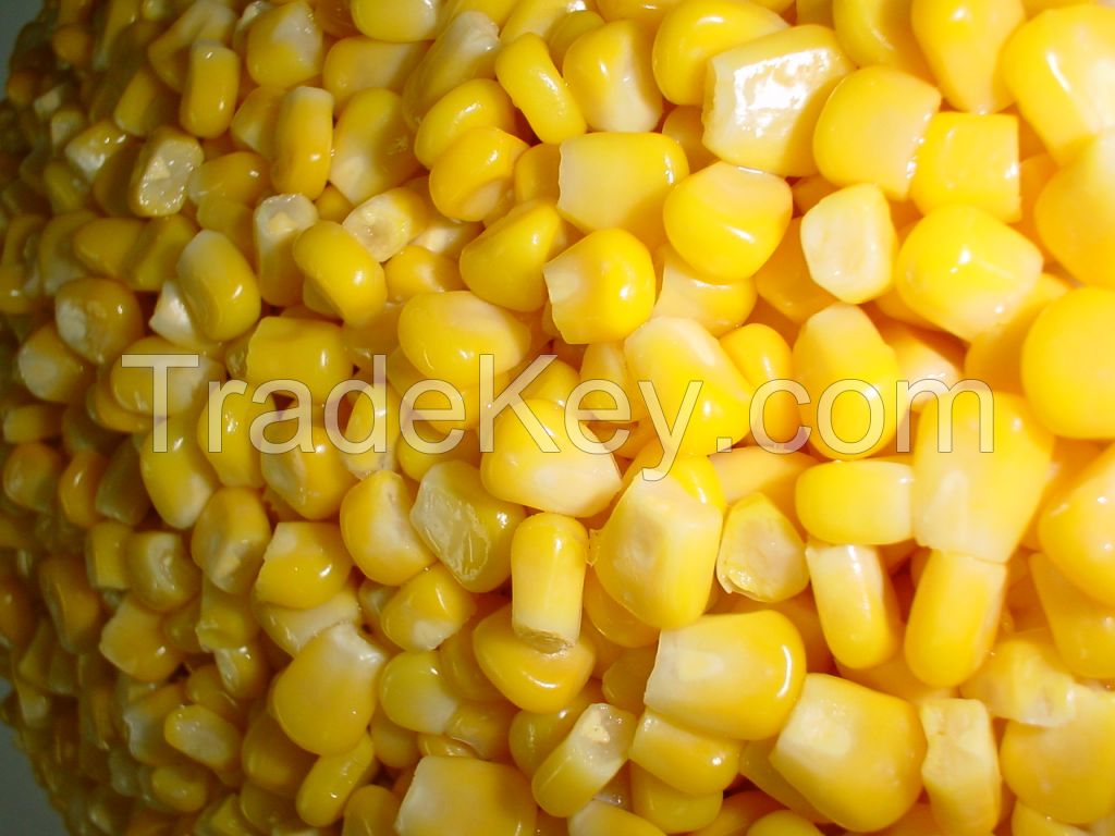 IQF frozen sweet corn China huazhen midsweet corn non-gmo