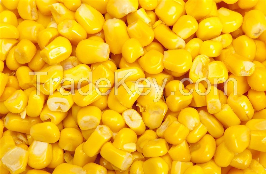 iqf frozen super sweet corn super sweet jebilee corn USA sweet corn