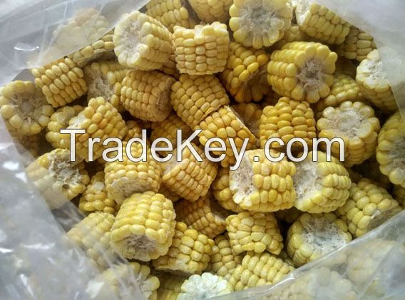 iqf frozen corn on the cob