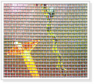 insect screenï¼Œ window screening