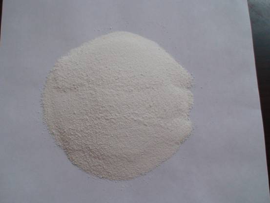 DICALCIUM  PHOSPHATE