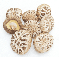 Organic Fragrant Mushroom