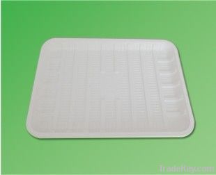 disposable plate and tray