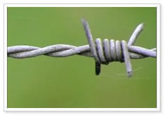 barbed wire -1