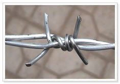 barbed wire-5