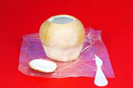 Polished Young Coconut In Vacuum
