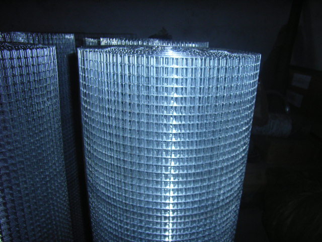 welded wire mesh