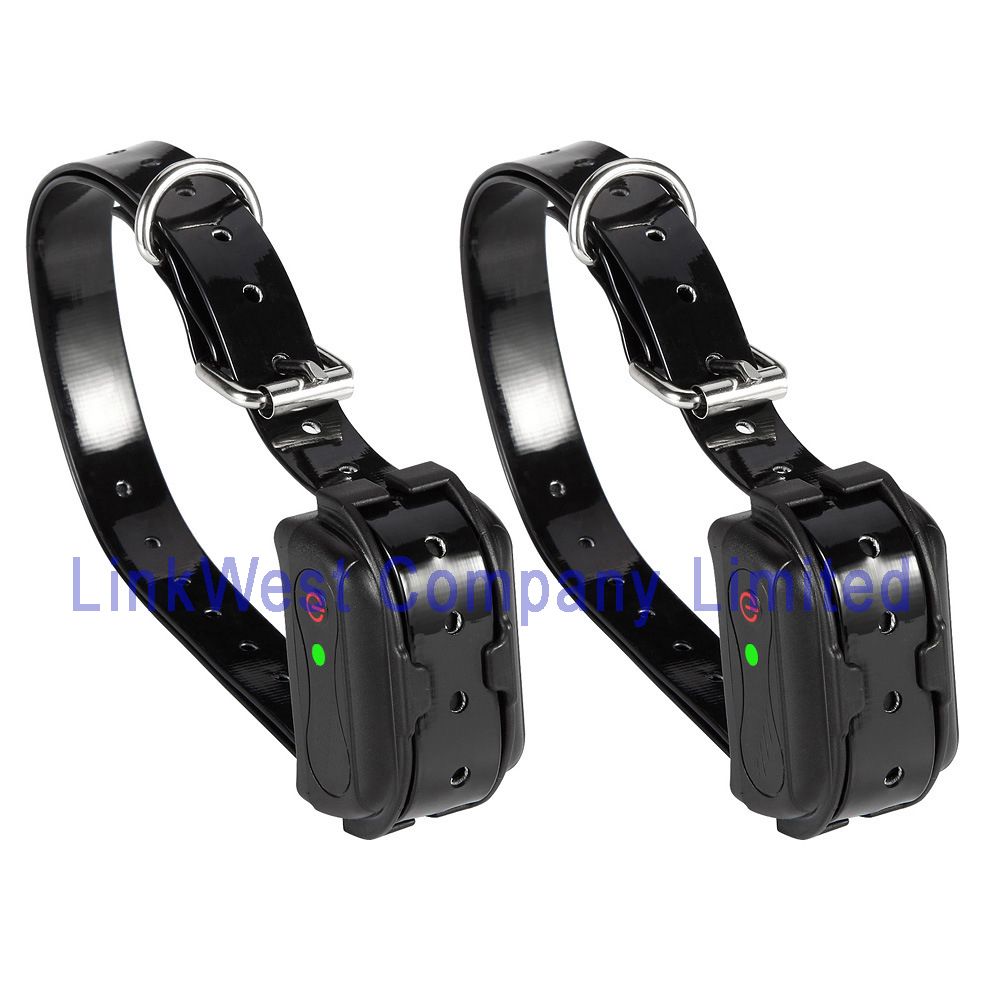 Electronic Dog Training Collar