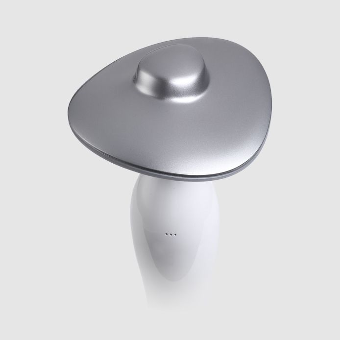 Smart Voice Control Light