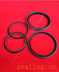 step seal ,glyd ring