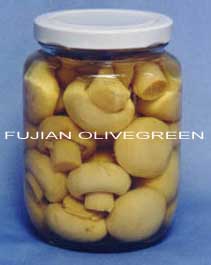 Canned Mushrooms, Canned Foods, Canned Fruits, Canned Vegetables, OG8104