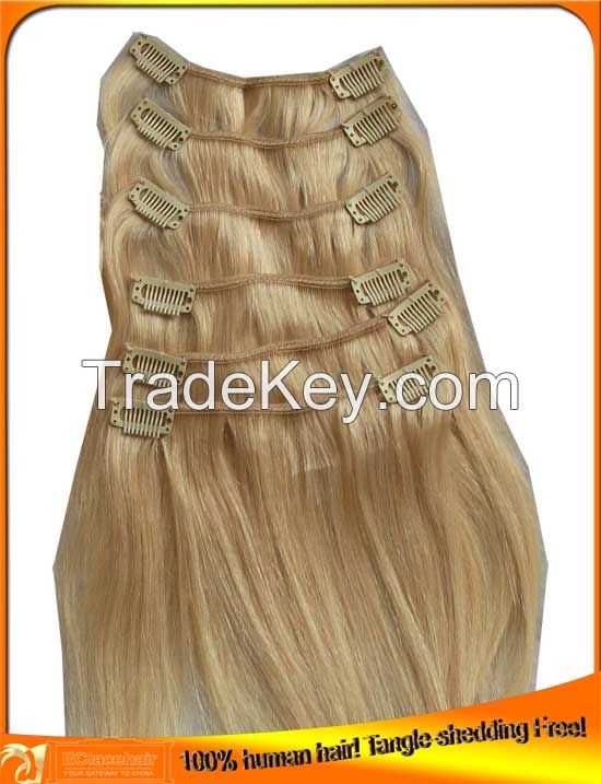 Indian Brazilian Virgin Human Hair Clip-in Hair Extensions Wholesale