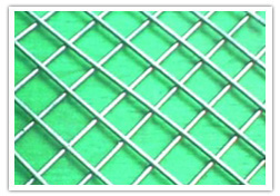 stainless teel welded wire mesh