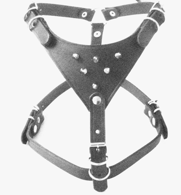 spiked leather padded harness