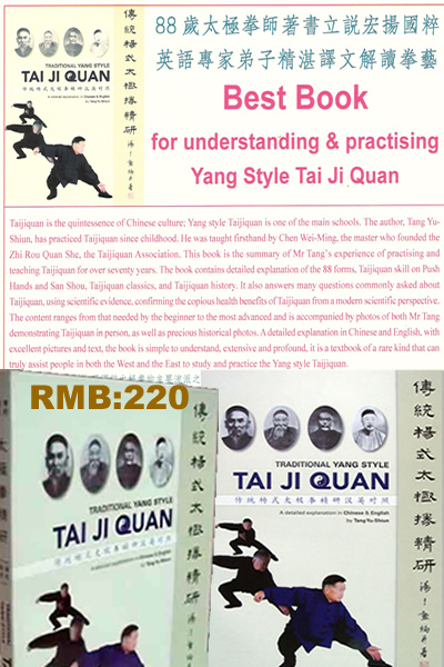 Yang style Taichi Boxing book
