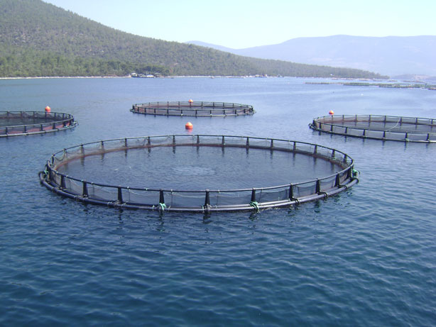 HDPE Circular fish farming Cage