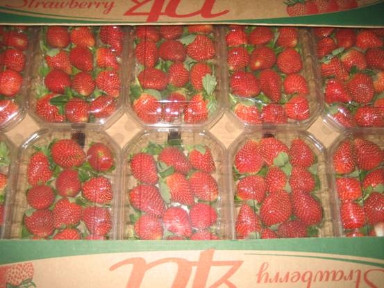 fresh strawberry