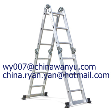 multi-purpose ladder (WYAL-1003)