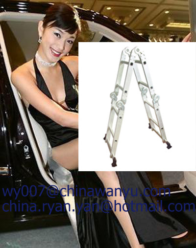 multi-purpose ladder (WYAL-1002)