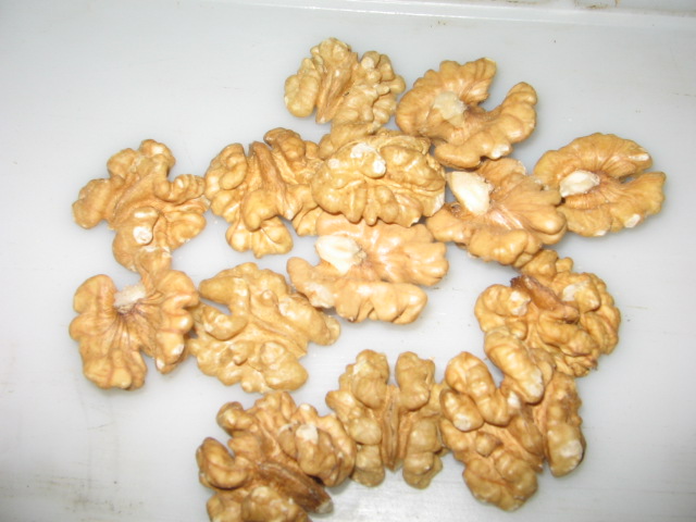 walnut kernel   LH