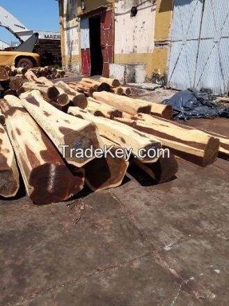 BRAZILIAN EBONY / GUAYACAN ON LOGS, LOGS ON OCTAGONAL, HEXAGONAL &amp; RECTANGULAR FORMAT