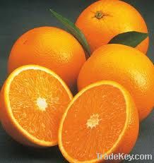 Fresh Mandarin Orange Kino