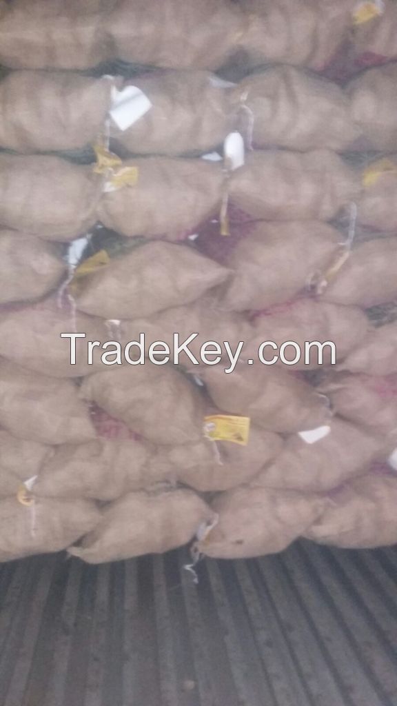 FRESH POTATO SUPPLIERS (M/S. KHALID EXPORTS INTERNATIONAL, PAKISTAN)