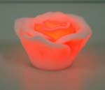 led rose