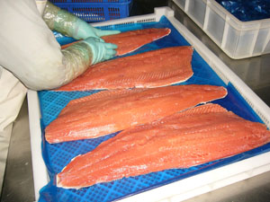 frozen chum salmon/pink salmon fillets/portion